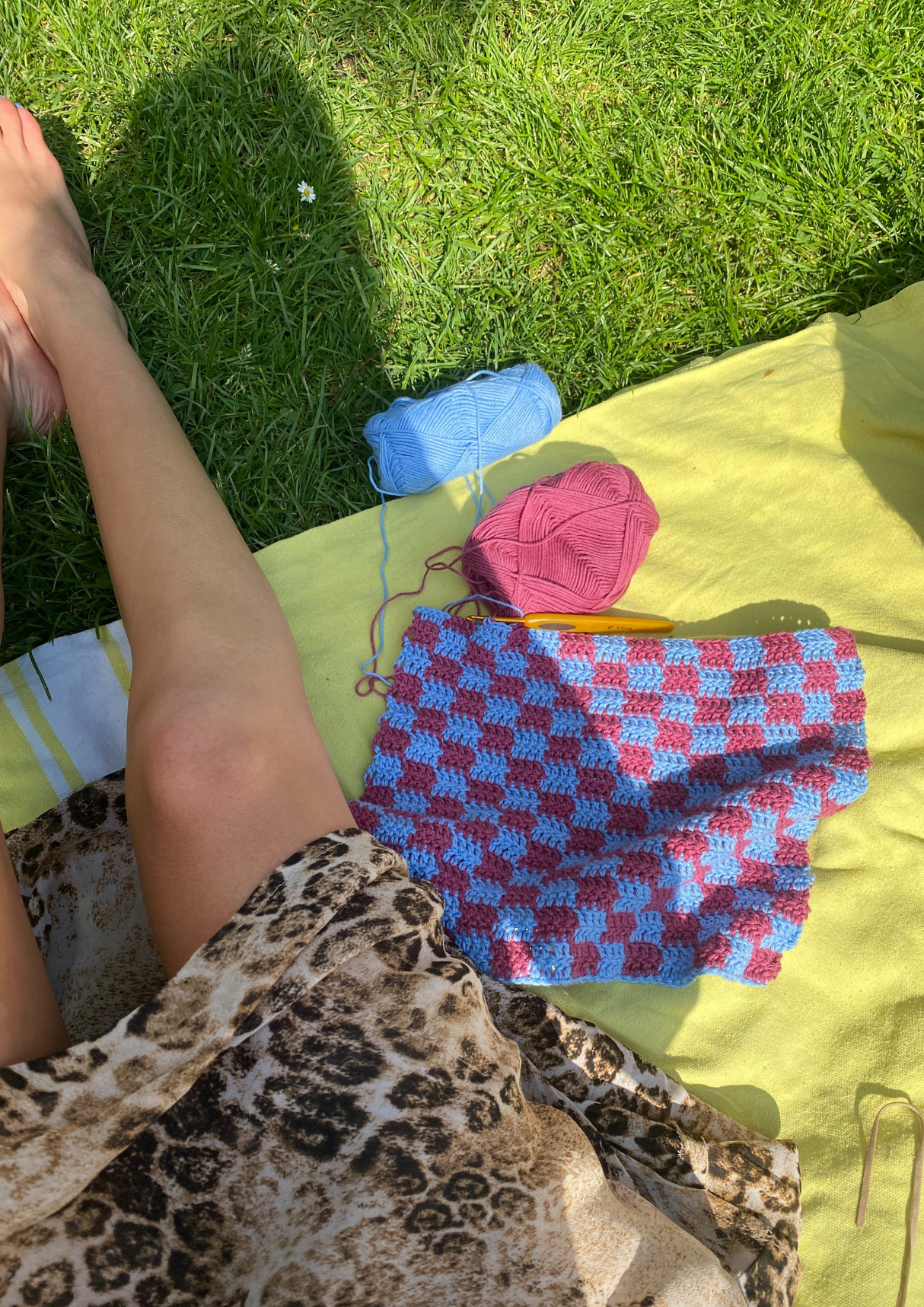 Dishcloth and tea towel
