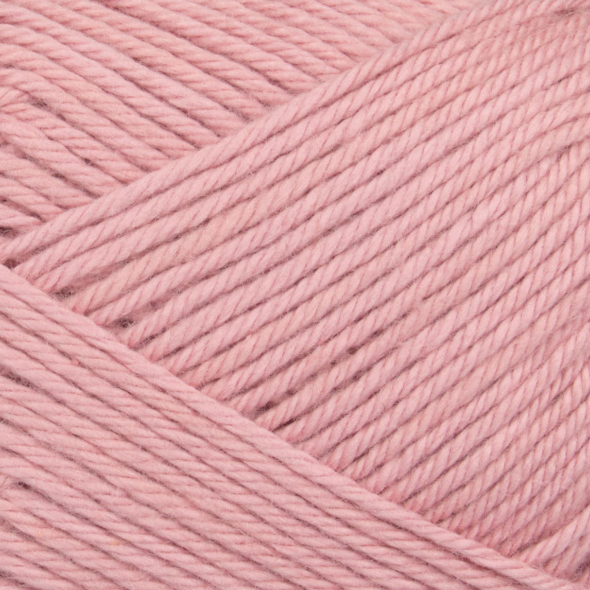 ANYDAY Cotton 8/4 10-pak