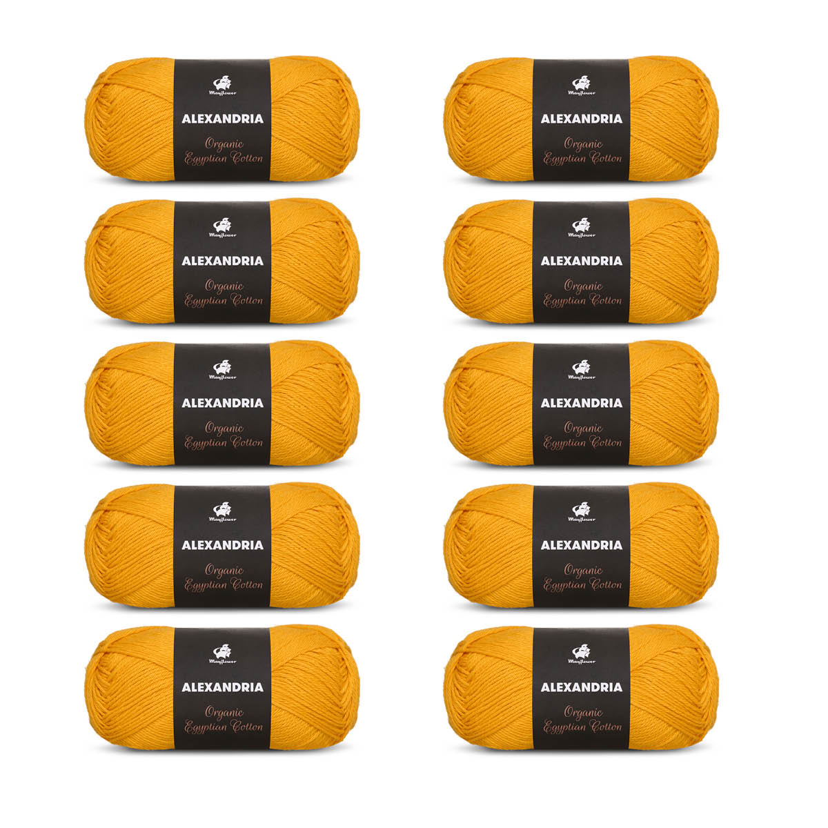 Alexandria 10-pack