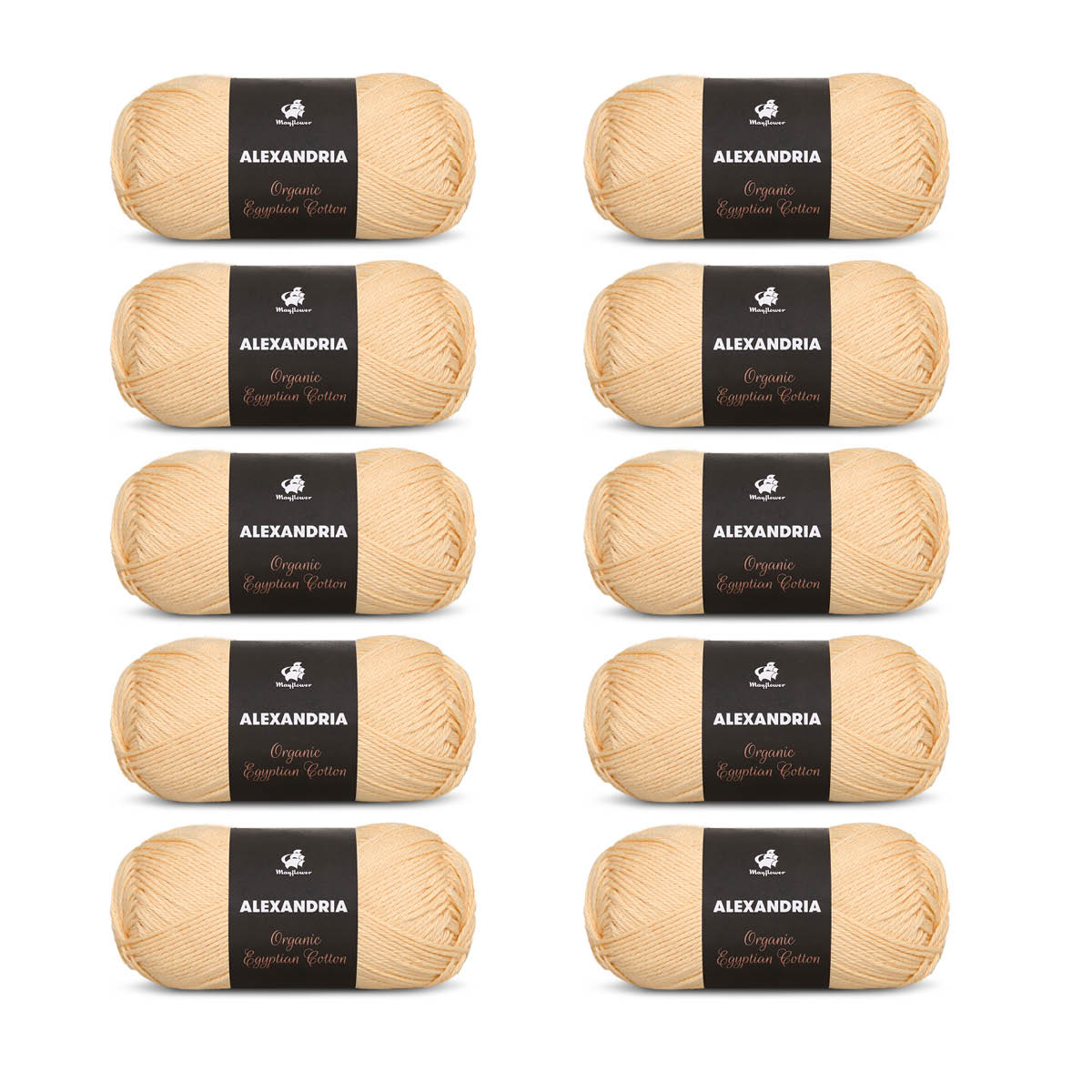 Alexandria 10-pack