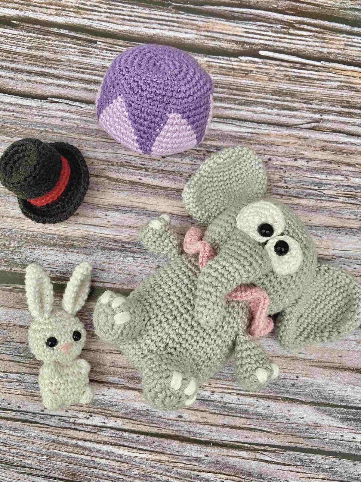 Circus elephant Ellie