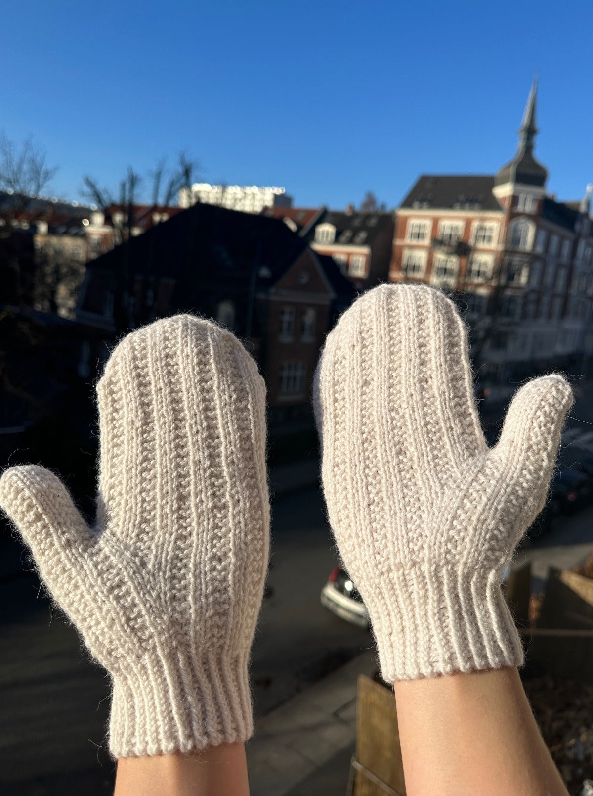 Cardamom Mittens Pattern