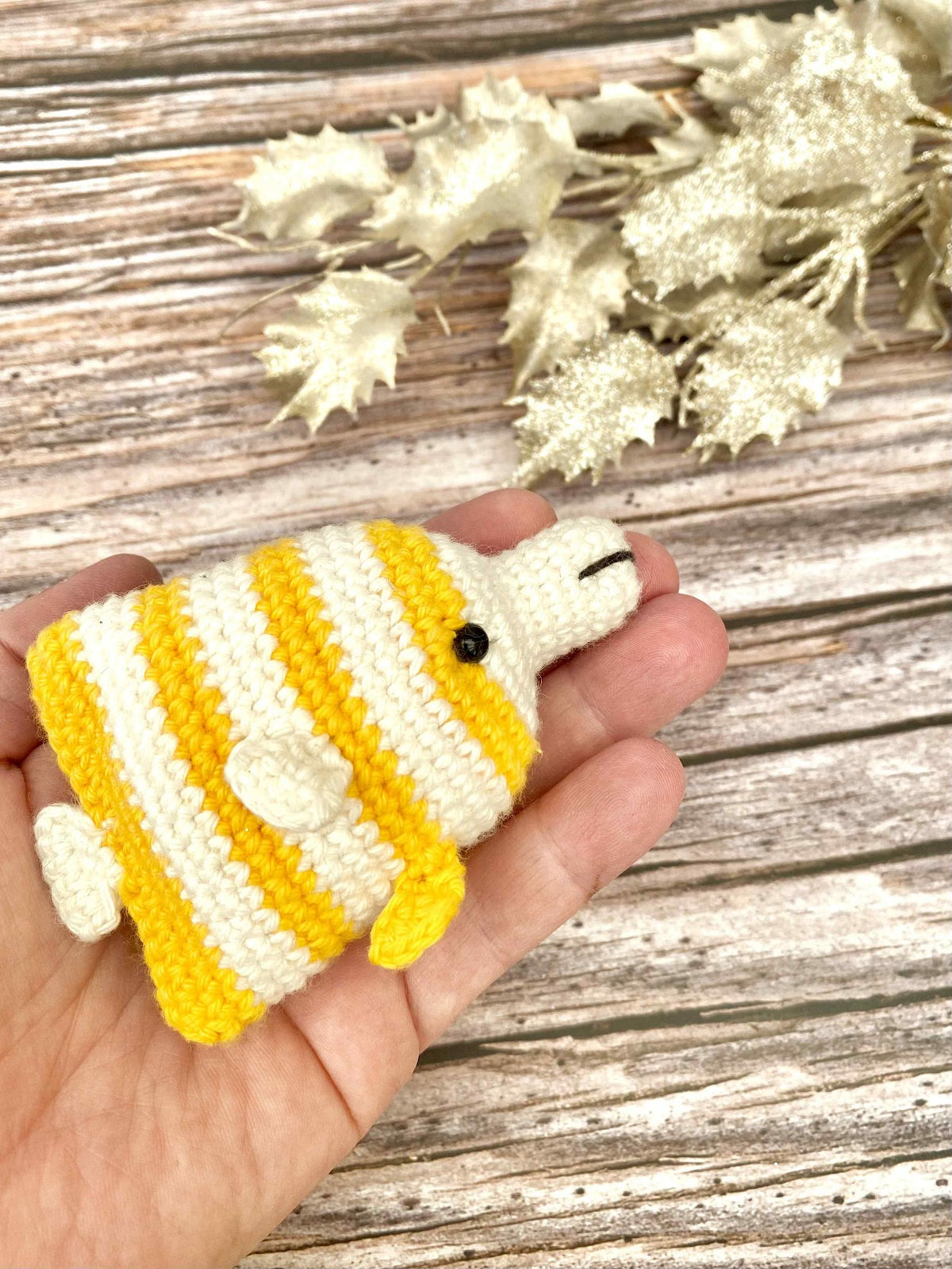 The pincetfish Bonnie