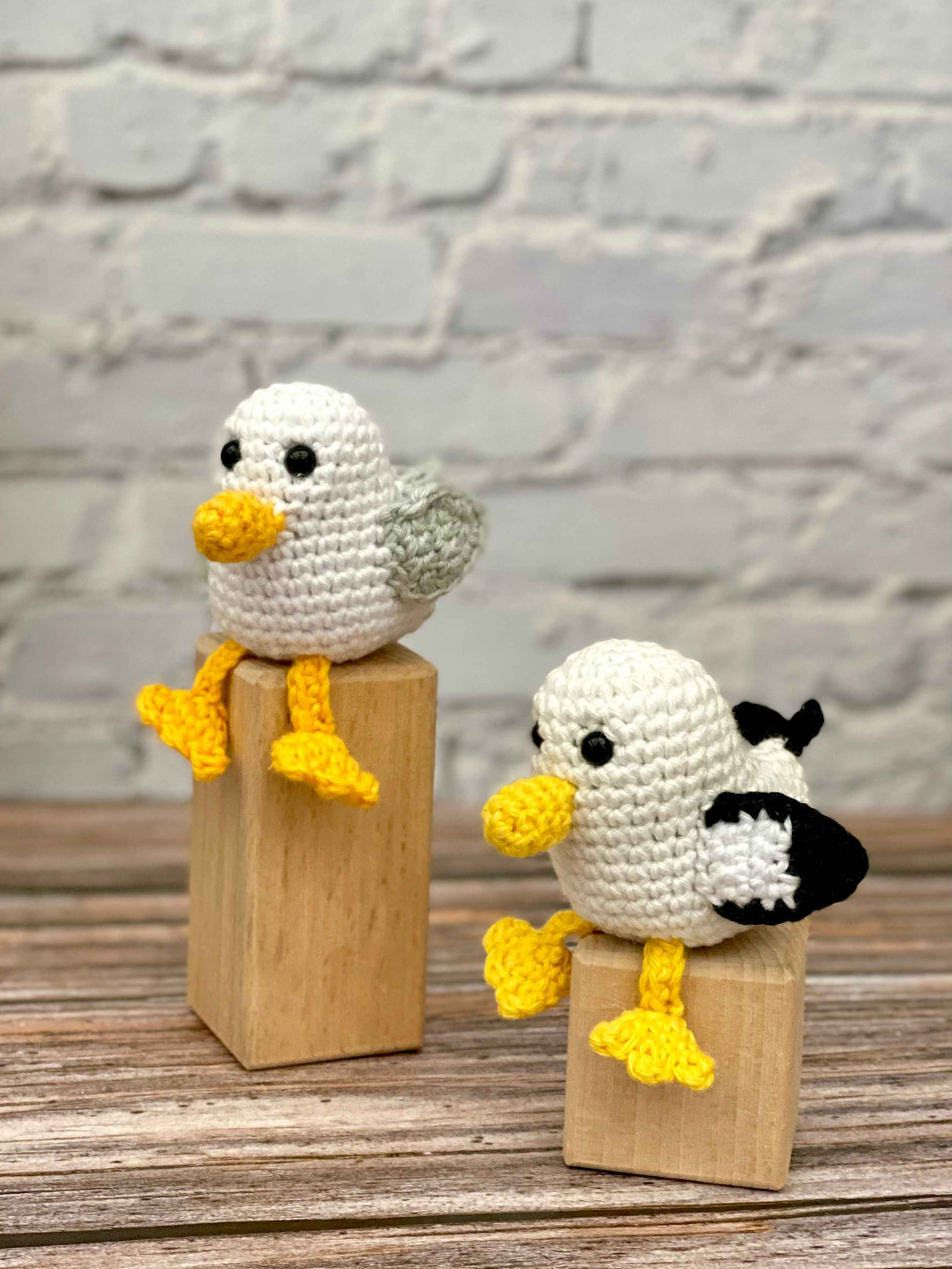 Albie Albatross & Steven Seagull