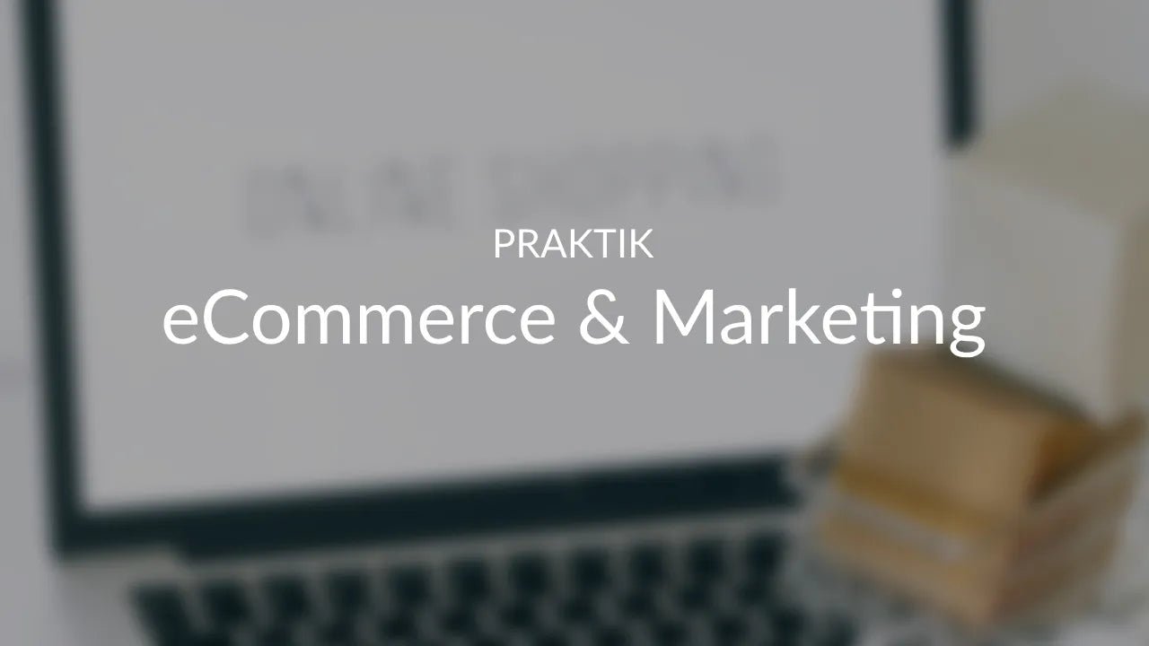 eCommerce & Marketing Praktikant - Mayflower