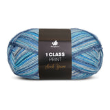 1 Class Print