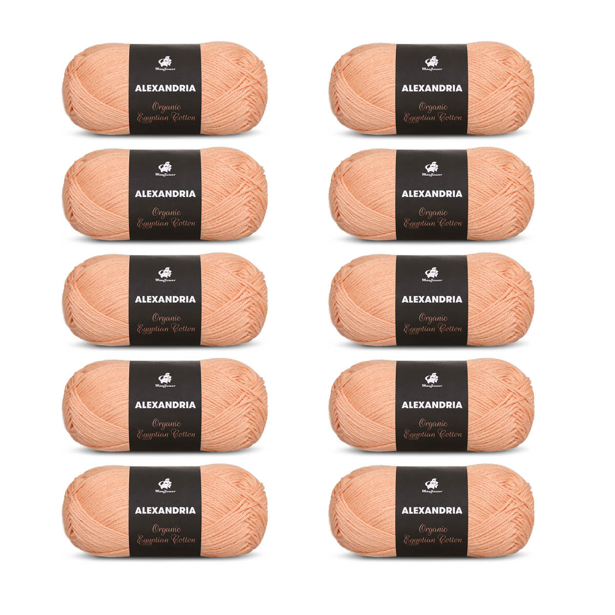 Alexandria 10-pack
