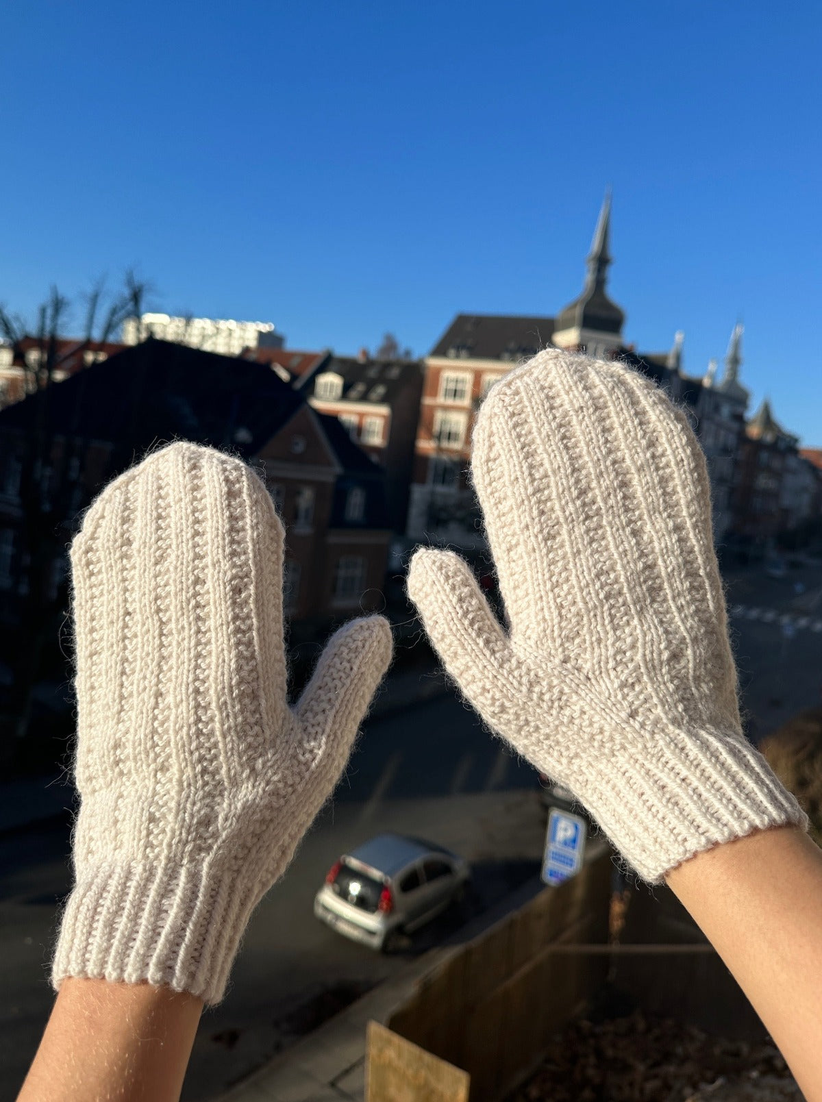 Cardamom mittens