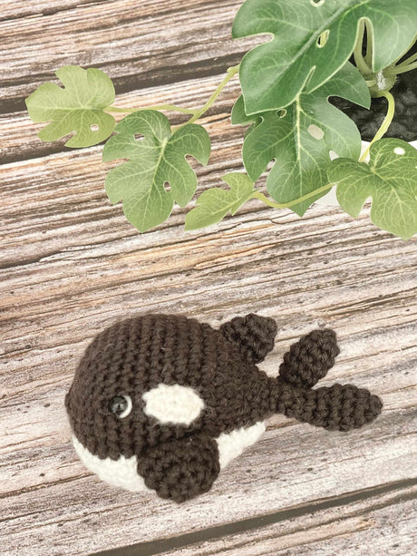 The killer whale Orson Pattern 