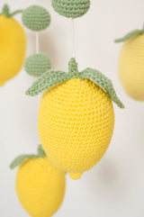 Crochet lemonuro