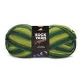 Jupiter Sock Yarn Universe