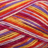 Venus Sock Yarn Universe