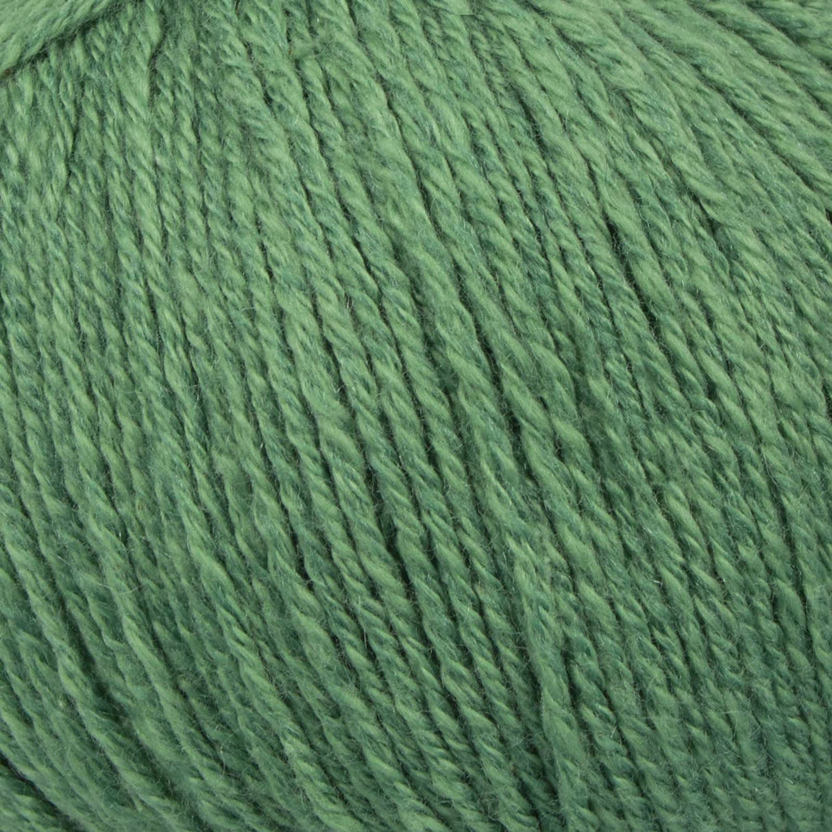 Cotton Merino